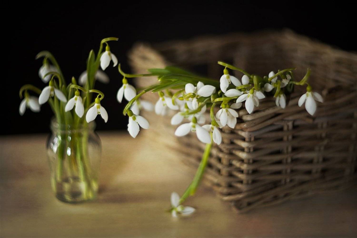 /*. Автор: Svetlana Golicyna Гелиос, Подснежники, Svetlana Golicyna