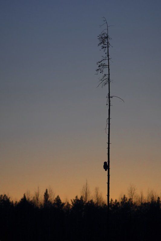 на закатеphoto preview