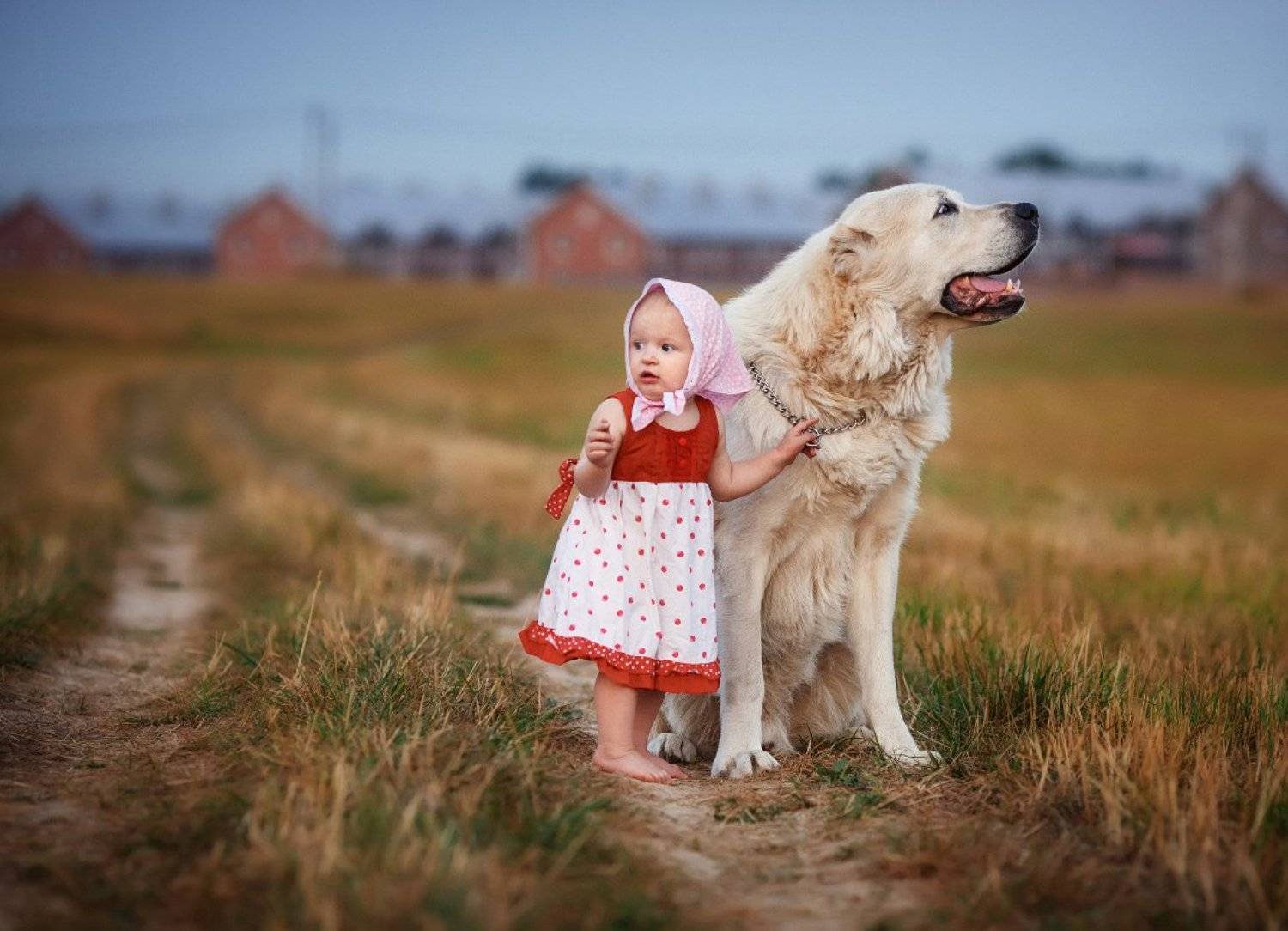 Ой..... Автор: Андриянкина Светлана , Андриянкина Светлана