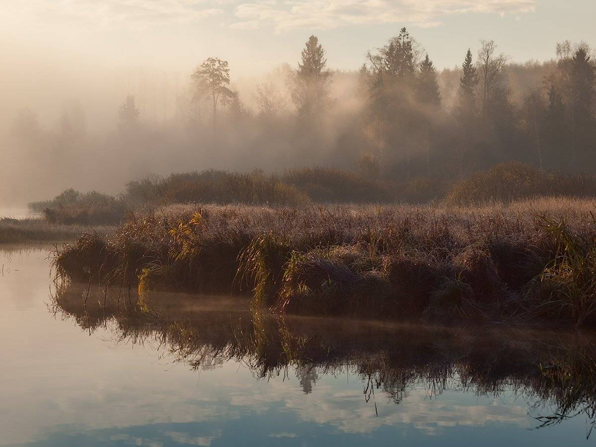 ***. Автор: Владимир Перепечаев , Владимир Перепечаев