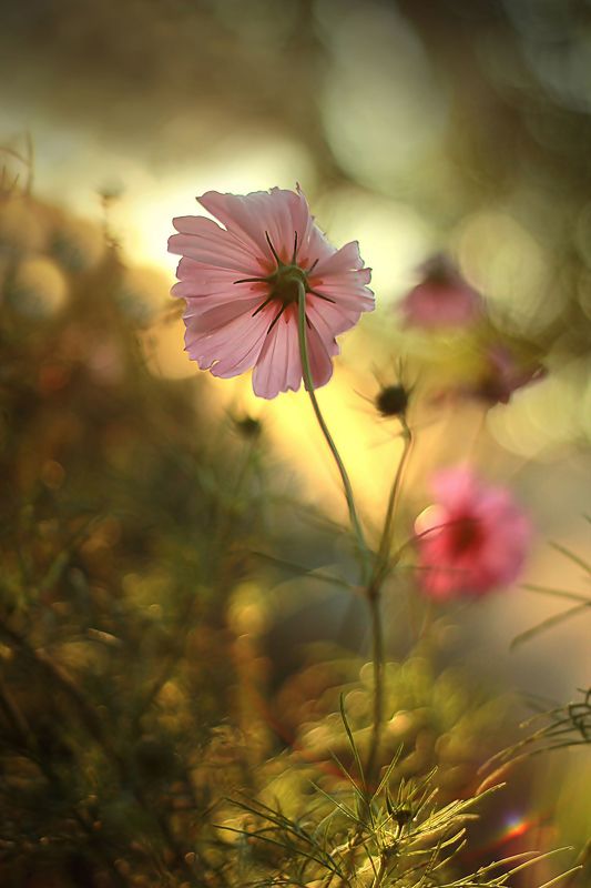 Завтра будет новый деньphoto preview