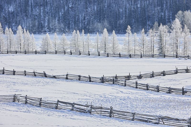 Загонphoto preview