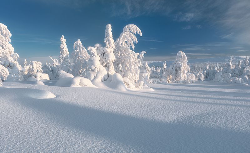 гух …под голубыми небесами, великолепными коврами…photo preview