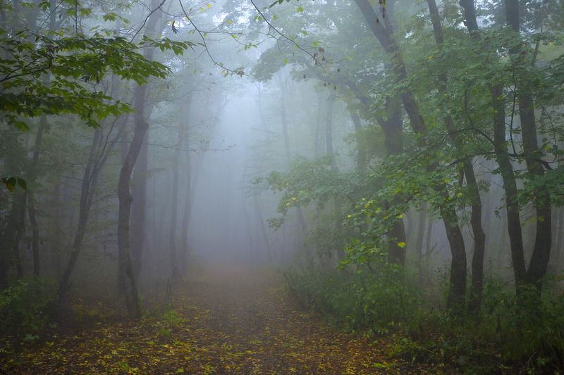 Осенние туманы на Машукеphoto preview