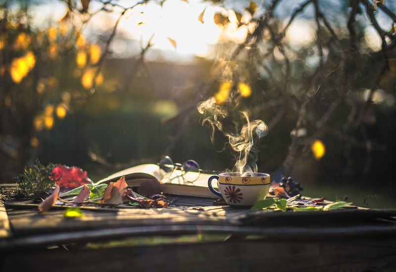 Чай с ноябремphoto preview