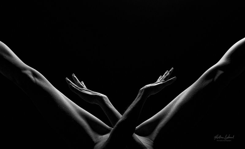 wings,nud,nudeart,legs,body,bodyart,lowkey,woman,model,body,nudes, hands WINGSphoto preview