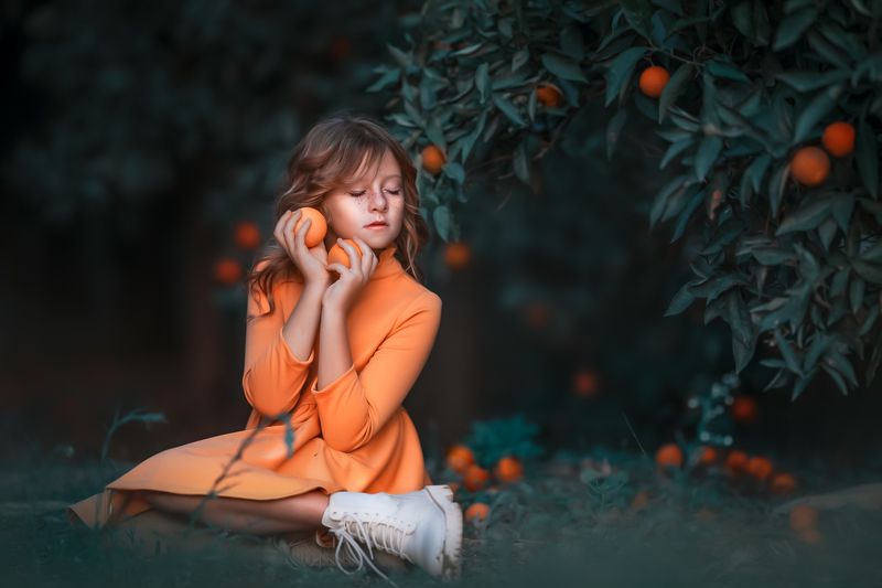 In the orange orchardphoto preview