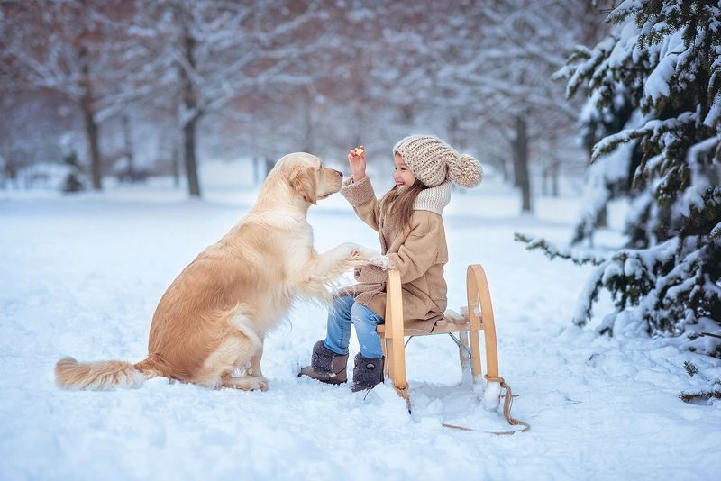 Зимняя прогулкаphoto preview