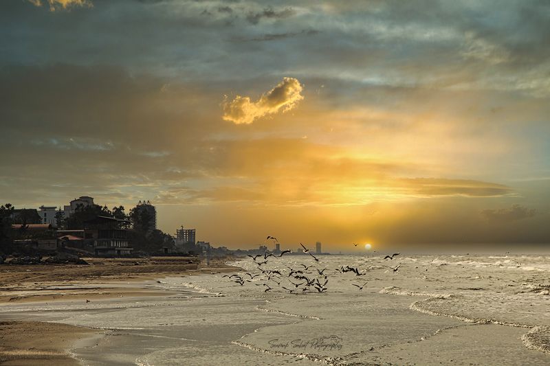 Golden Timephoto preview