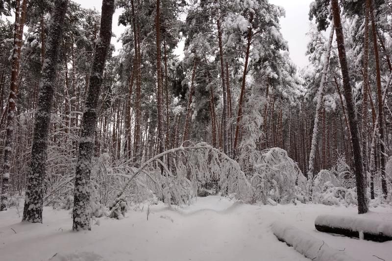 В поклоне...photo preview