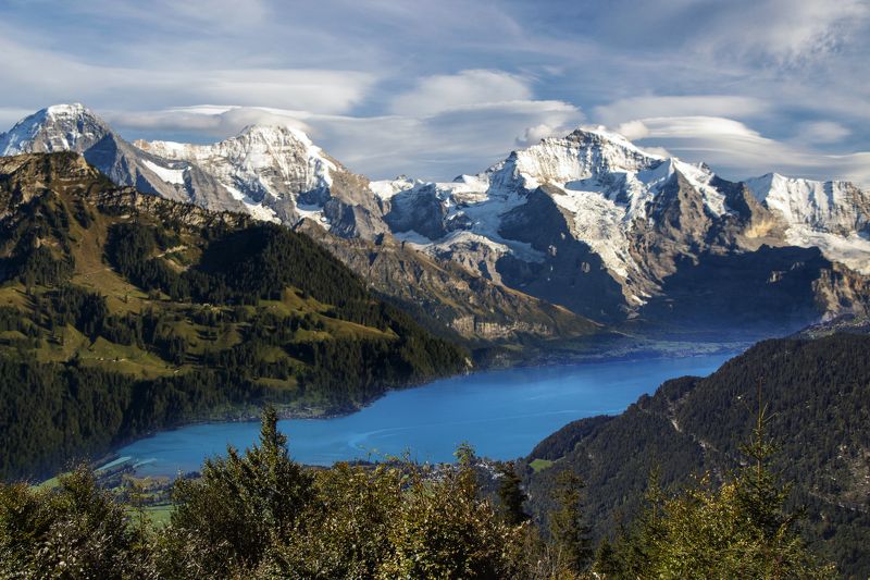 ***  фото превью