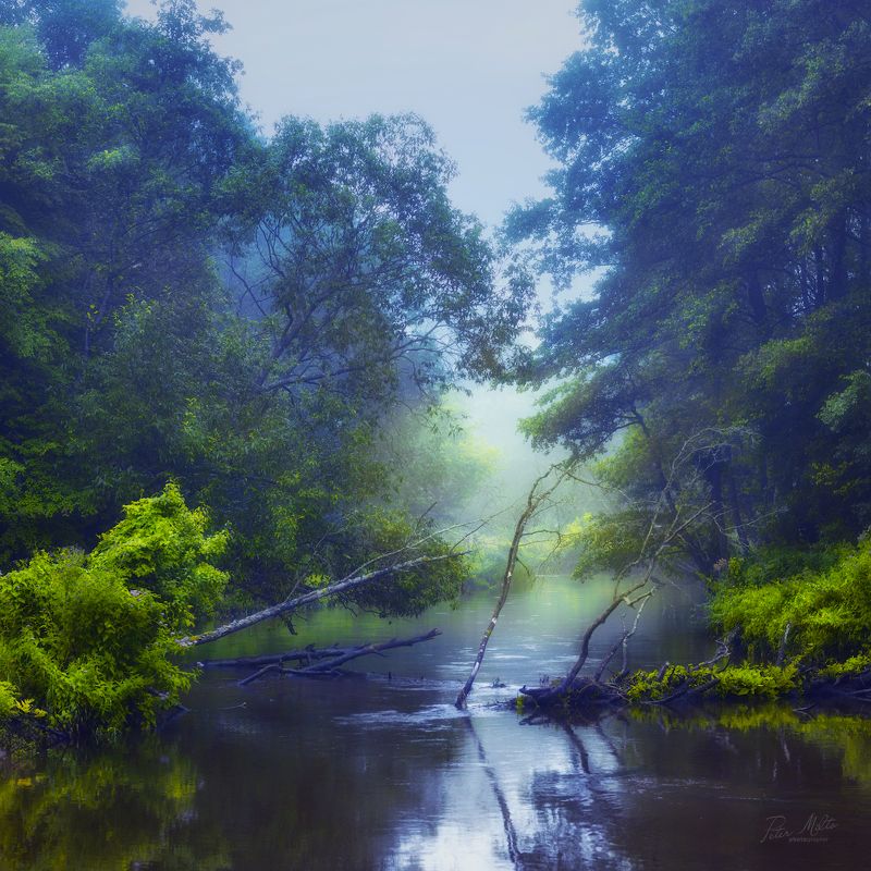 Сон в сине-зеленых тонахphoto preview