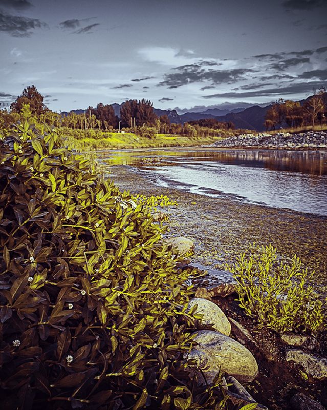 金色河岸 金色河岸photo preview