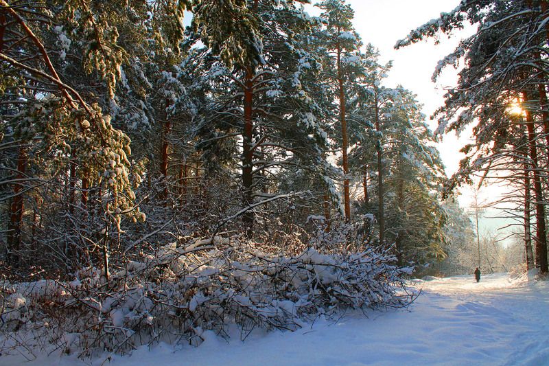 зима, январь, сибирь, россия ...photo preview