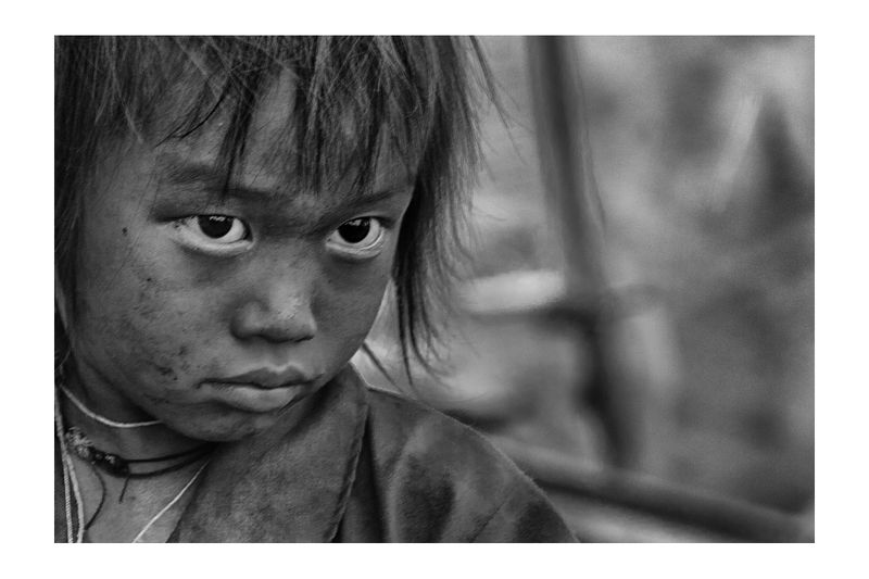 Rice&Icon of Vietnamphoto preview