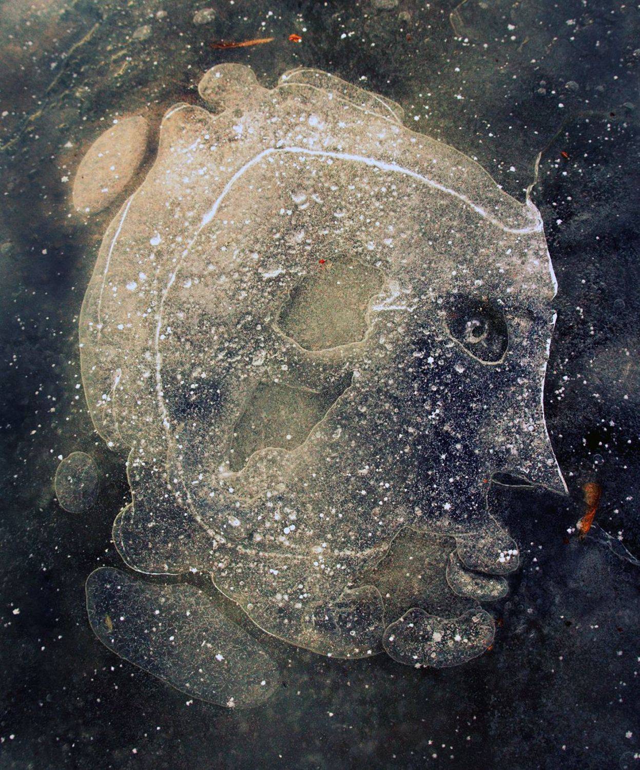 pareidolia, Илья Илья