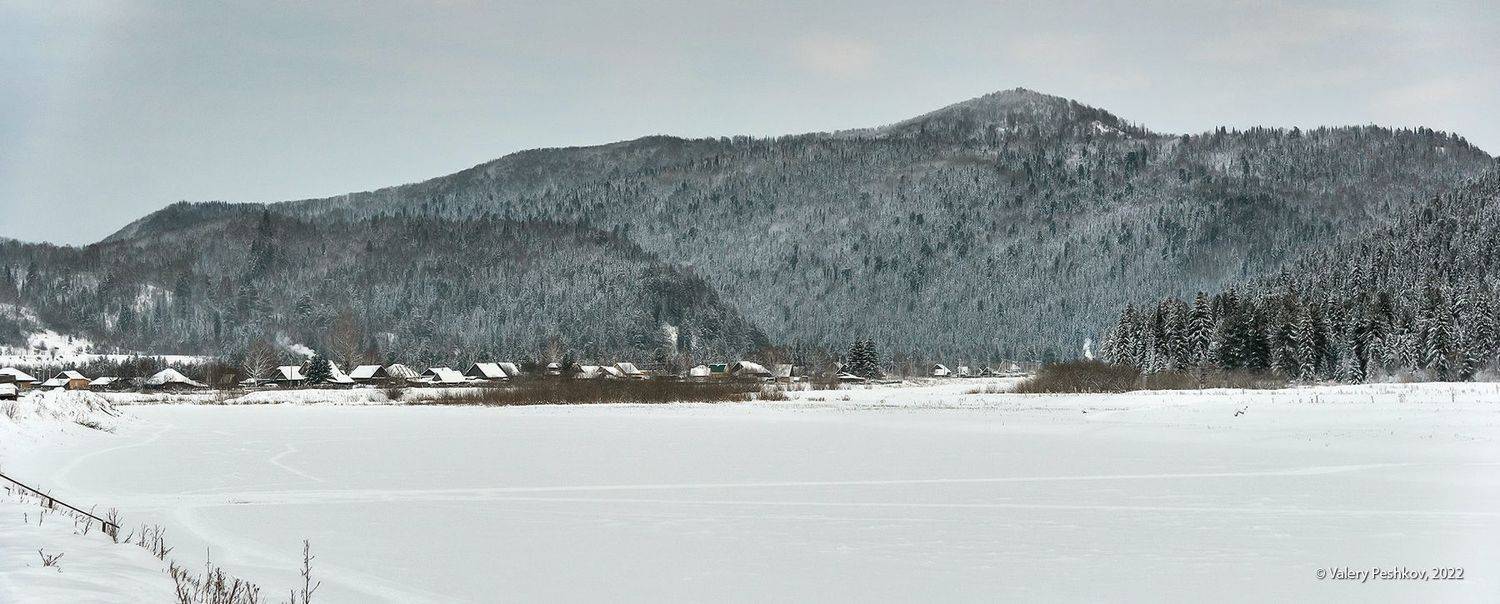 Устье Кабырзы…. Автор: Пешков Валерий зима, снег, пихты, кедры, березы, усть-кабырза, мрассу, кабырза, горная шория, Пешков Валерий