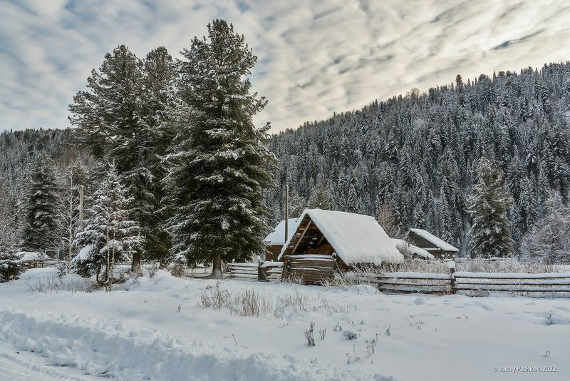 зима, снег, пихты, кедры, усть-кабырза, мрассу, кабырза, горная шория Горная Шория, деревенское…photo preview