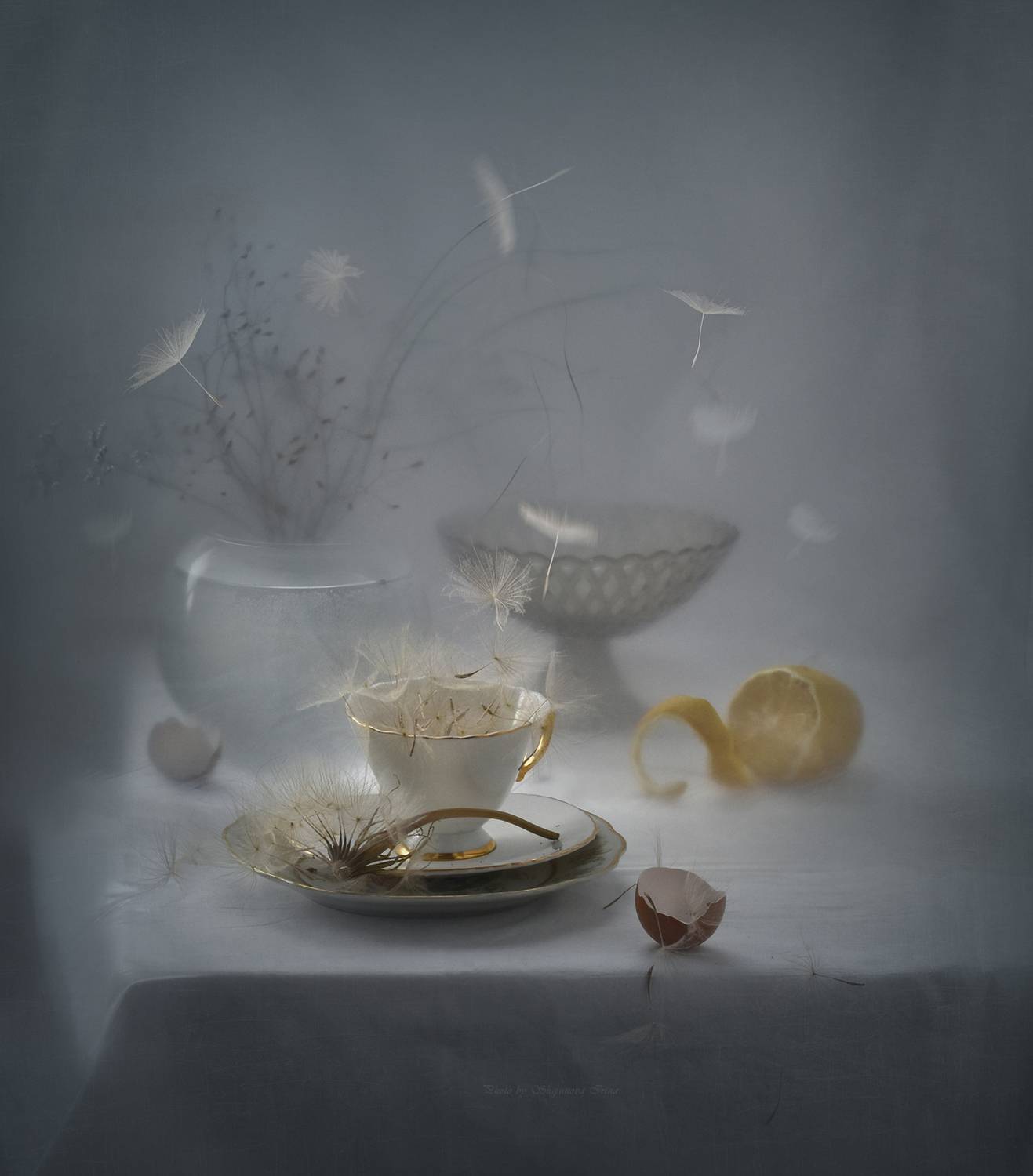 , Шипунова Ирина