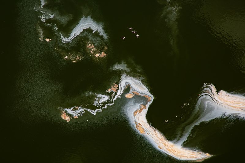 Aerial, Lake Magadi, Kenya, Flamingos Coloursphoto preview