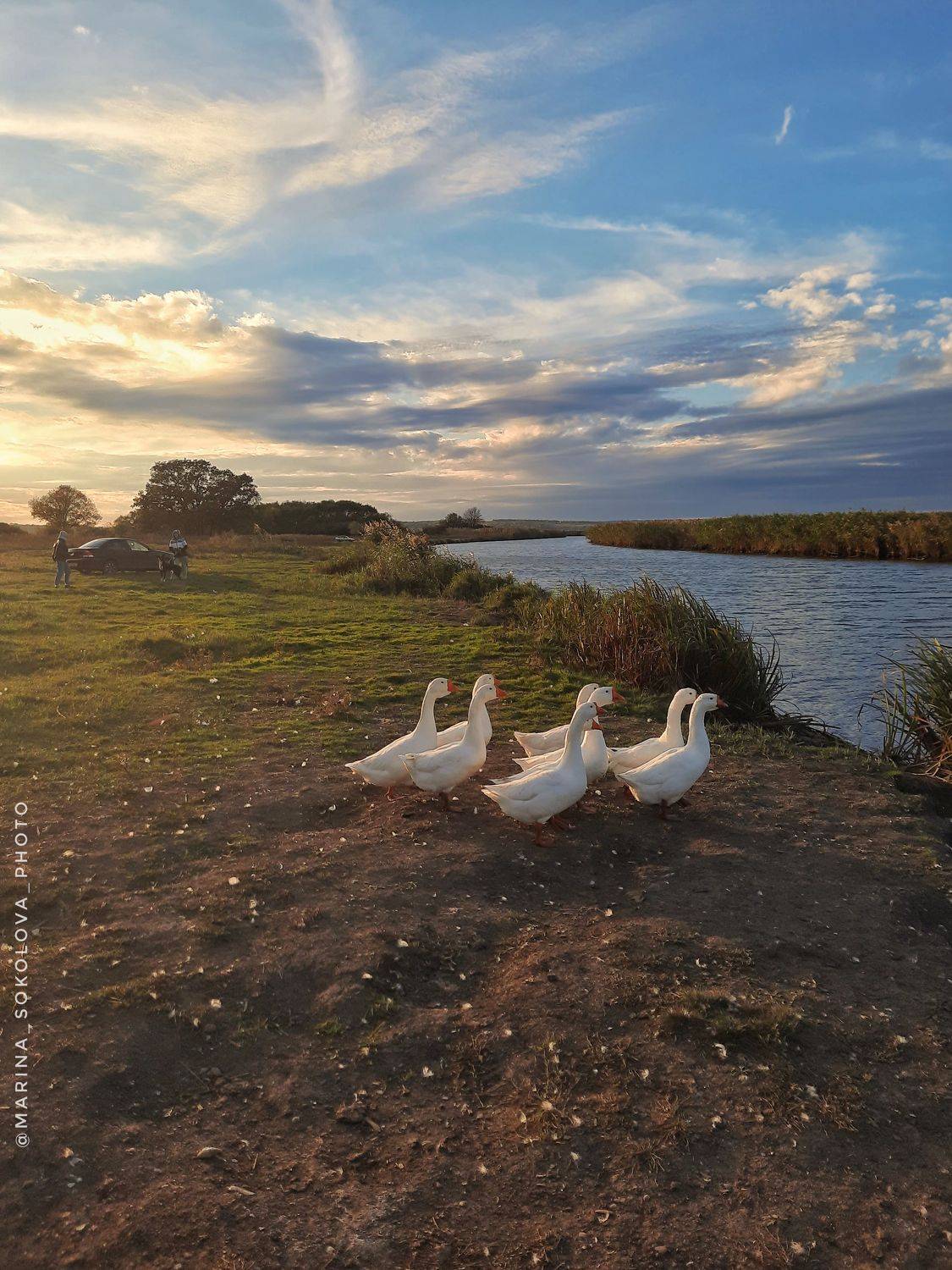 , Марина Соколова