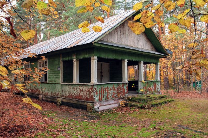 лес осень дом забвение photo preview