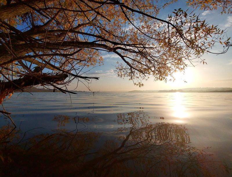 пруд, рассвет, утро, осень, листья Утро на пруду.photo preview