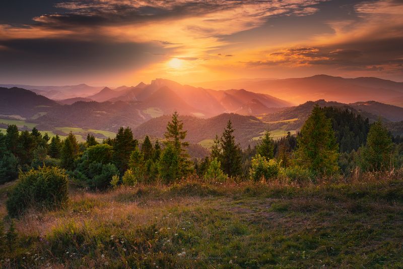 pieniny, poland, polska, mountainscape, landscape, sunset, wysoki wierch, sun, clouds, trees, nikon, tamron, mountains, sunlight, forest, nature, golden hour Behind the Stormphoto preview