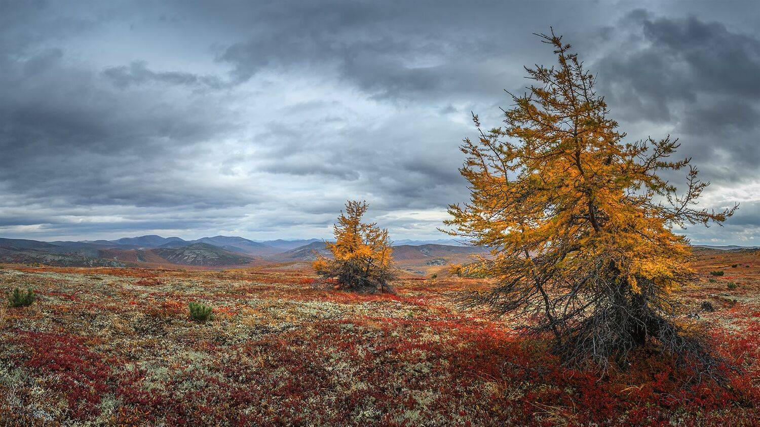 Автор: Андреев Николай , Андреев Николай