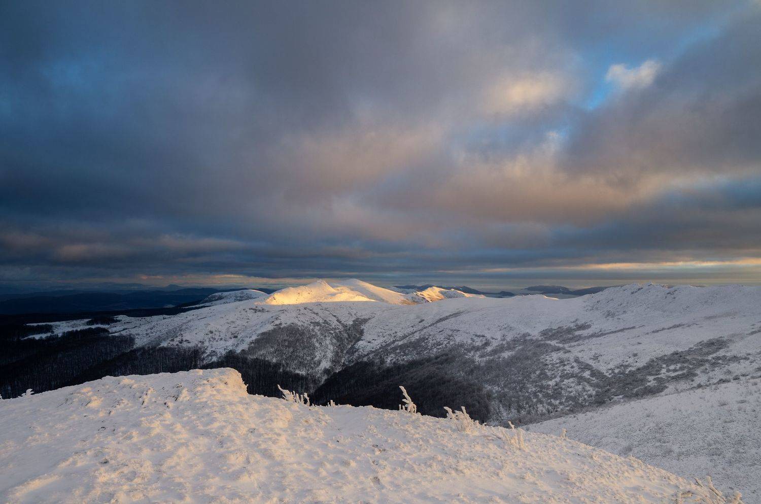 ,  Mirosław Pruchnicki