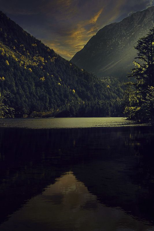 映 映photo preview