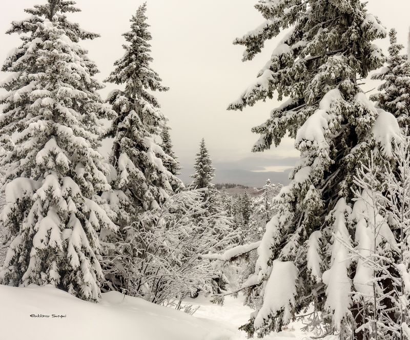 Природа Южного Уралаphoto preview