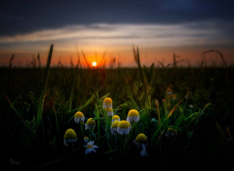 Беларусь Скороphoto preview