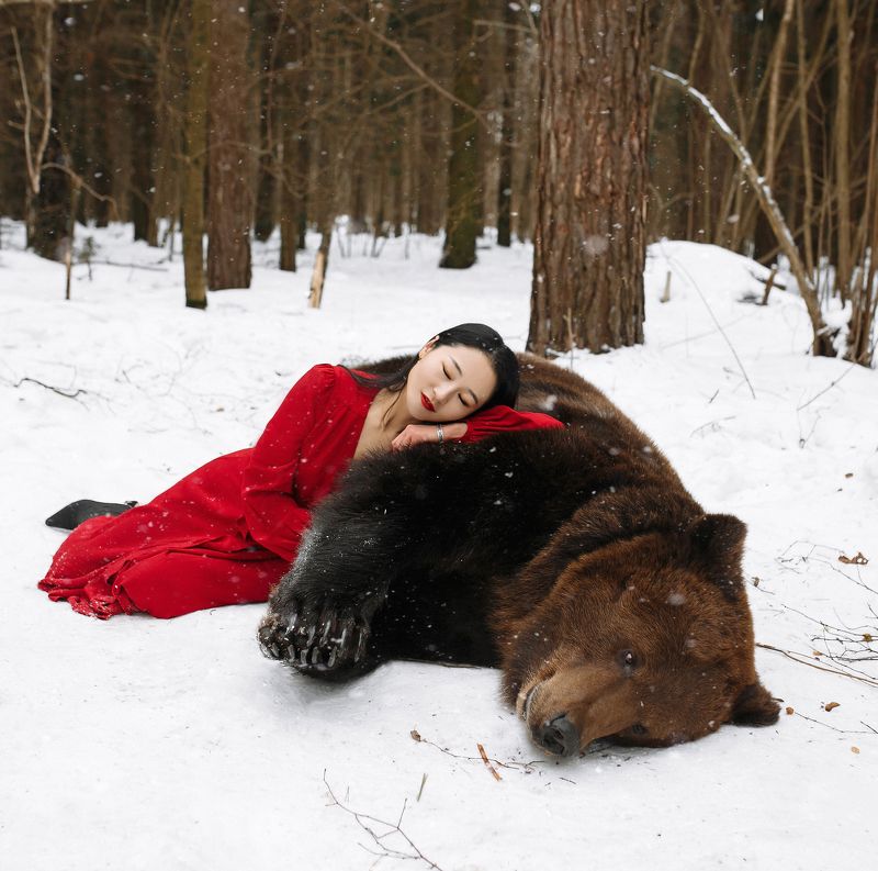 китаянка, медведь, лес, в лесу, красный, природа, зима,зимняя, снег, лес, животное, дуэт, портрет,девушка В лесу...photo preview