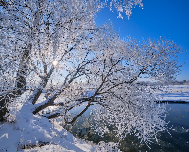 река,воря,подмосковье,зима,иней,мороз,деревья,ветки,белое Морозный день на Воре фото превью
