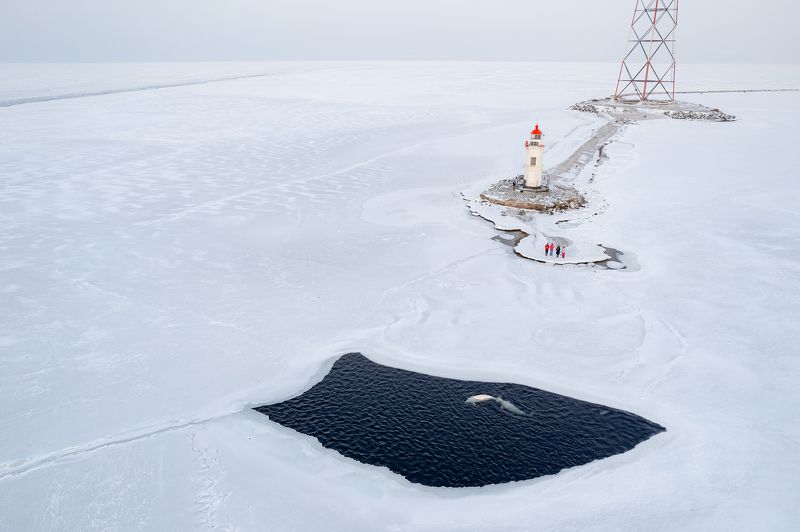 Встречаphoto preview