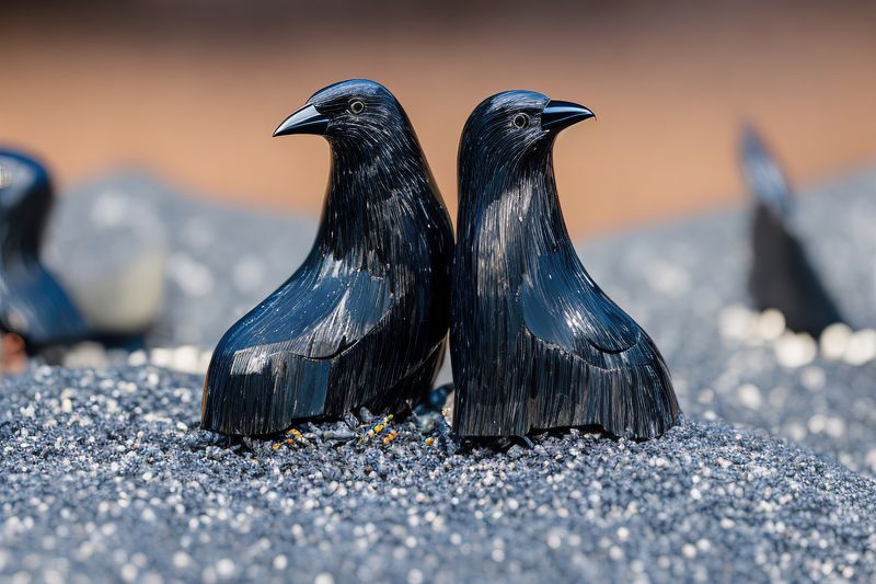 Нейропсихология природыphoto preview