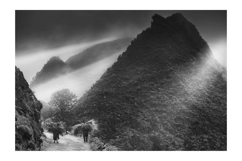 Rice&Icon of Vietnamphoto preview