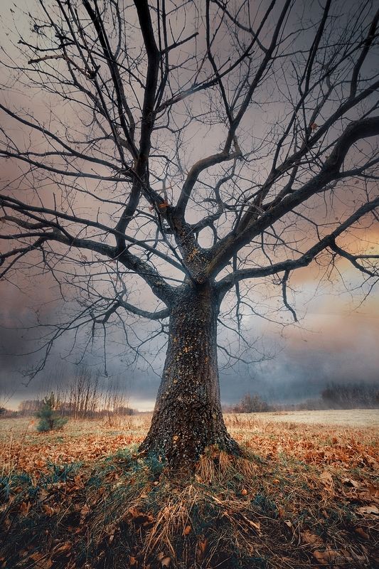 Lublinekphoto preview