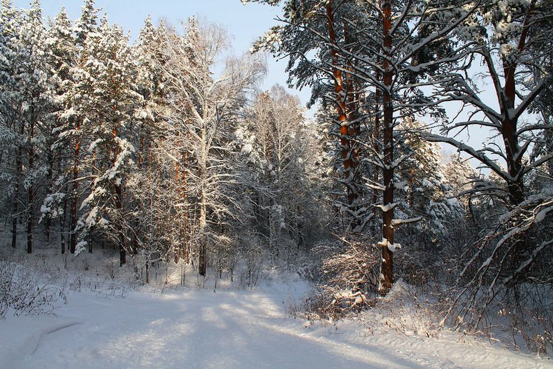 зима, январь, сибирь, россия ...photo preview