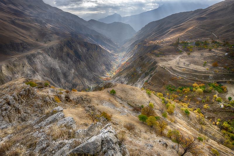 Осеньphoto preview