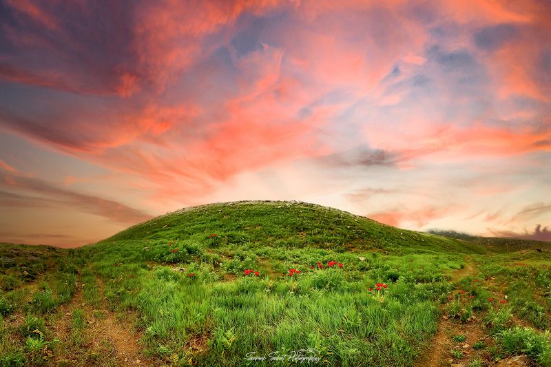 Golden Timephoto preview