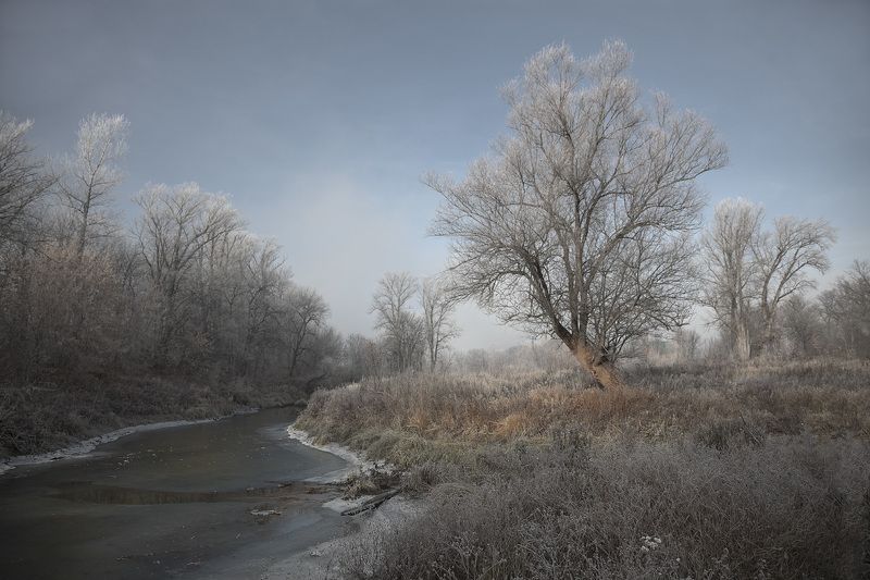 зимма photo preview