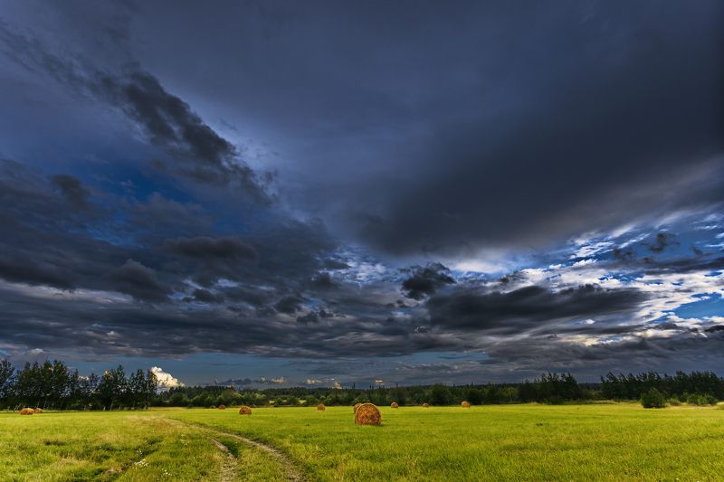пениковское, ломоносовский район, ленинградская область, сельское поселение, сено, стог сена Пениковское сельское поселение. Ленинградская область.photo preview