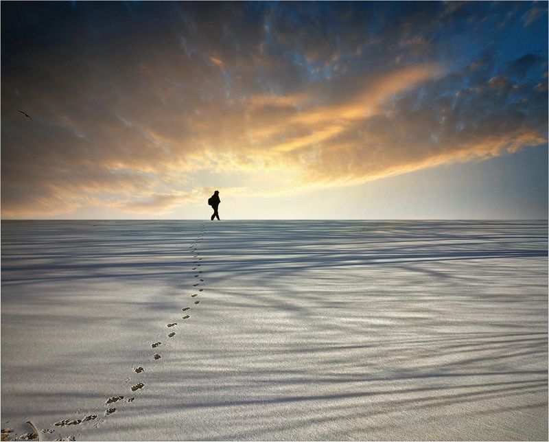 hunter of silencephoto preview