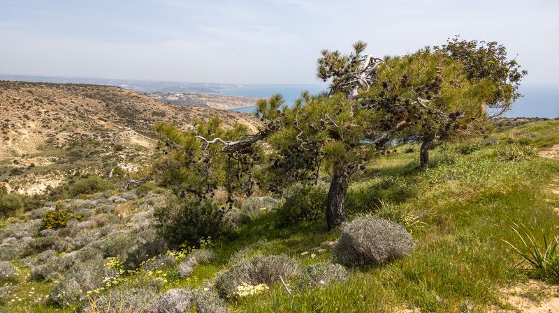 cyprus, landscapes, sea photo preview