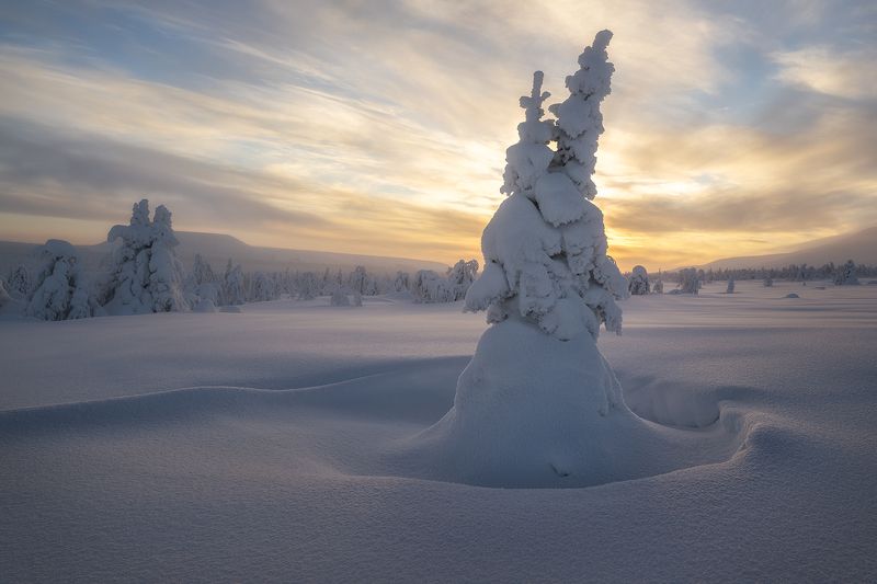 Мать и дитя фото превью