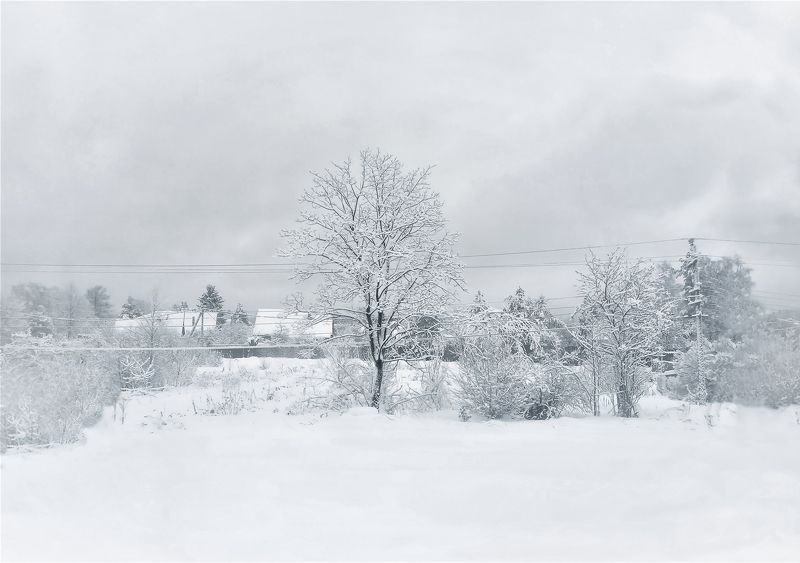 пейзаж снег зима деревня природа snow landscape winter Белый сонphoto preview