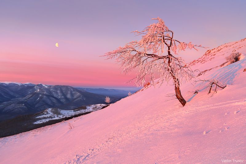 крым, чатыр-даг Зима в Крыму фото превью