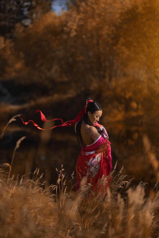 Гейшаphoto preview